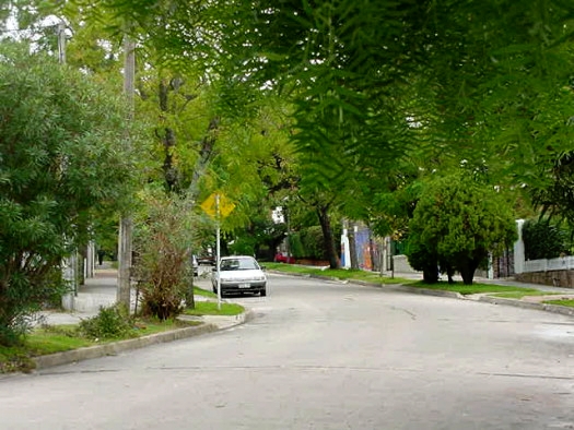 Pilcomayo entre Estr�zulas y Missouri