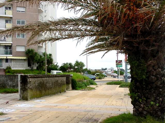 Rambla O'Higgins casi Estr�zulas
