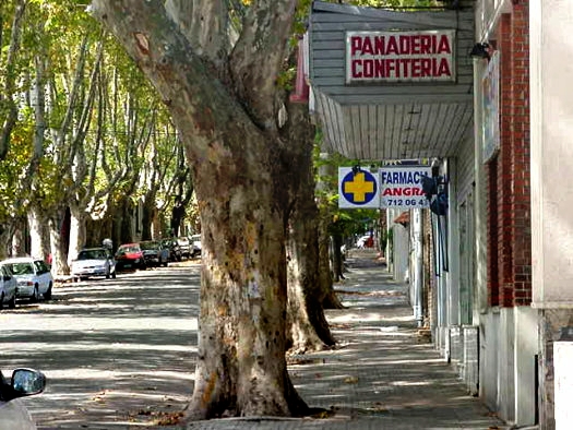 entre Montero y Su�rez
