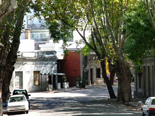 casi Montero