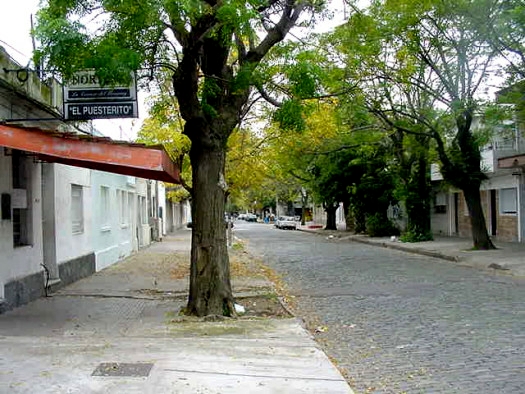 Cufr� entre Pedernal y Lafinur