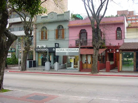 Calle Ellauri