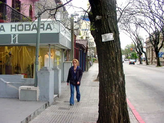 Calle Ellauri