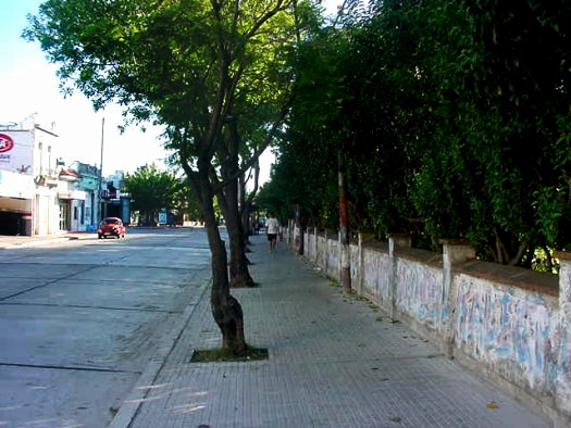 Av. Sayago casi Cno. Ariel