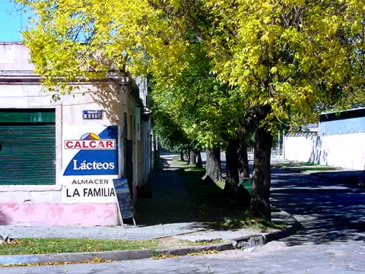 C. Rivas esquina Luis De La Pe�a