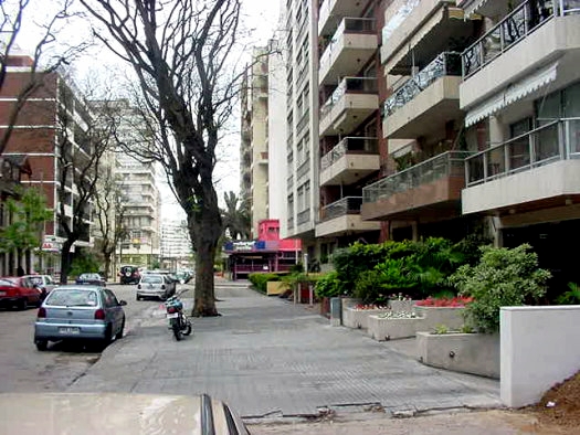 Calle Ellauri