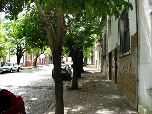 Marco Bruto entre Dem�stenes y L�ber Arce (Gral. Prin)
