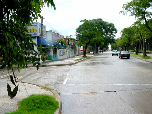 L.A. de Herrera esquina L�ber Arce (Gral. Prin)