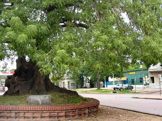 Navarro esquina Ram�n Anador