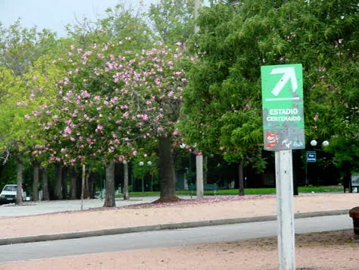 Ram�n Anador esquina Av. Catalu�a
