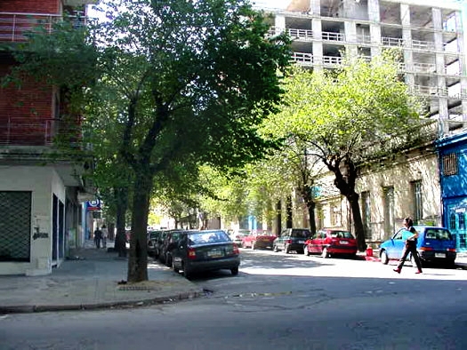 Cassinoni entre Rivera y Palmar
