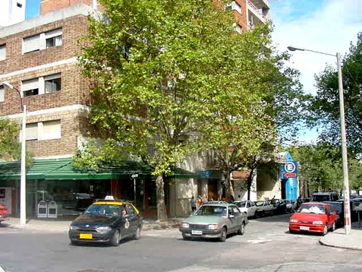 Cassinoni (Duvimioso Terra) esquina Palmar