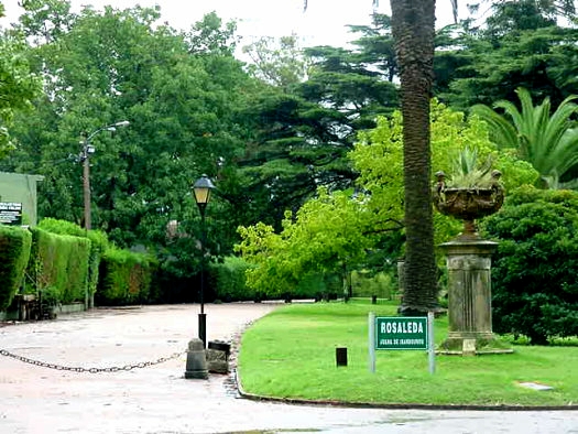 Rosedal (entrada por Lucas Obes)