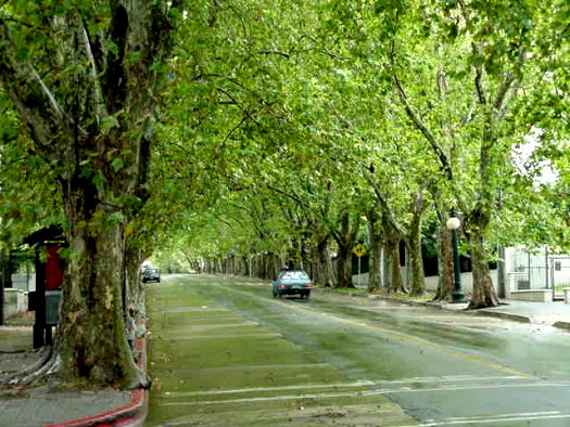 19 de Abril entre A. Berro y Gaet�n