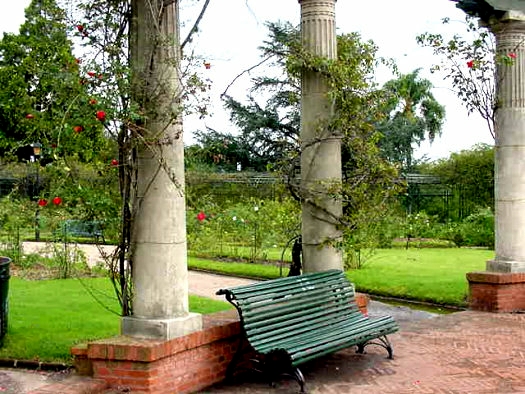 Rosaleda