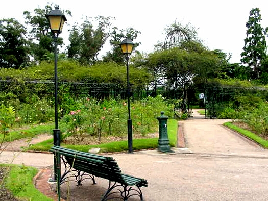 Rosaleda