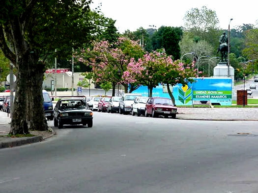 L.A. de Herrera casi Mill�n
