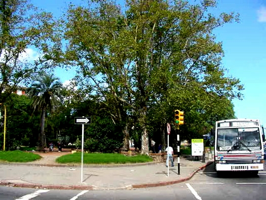 Av. Agraciada esquina Evaristo Ciganda