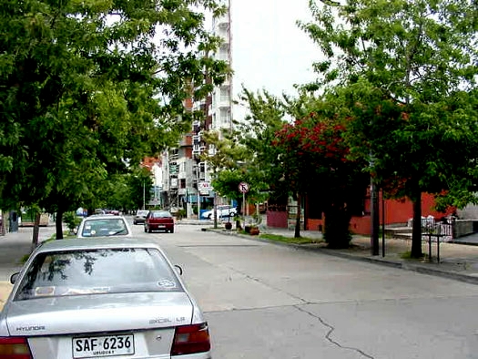 casi Osorio