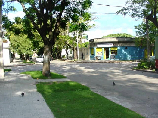 Luisa Luisi esquina Nelson