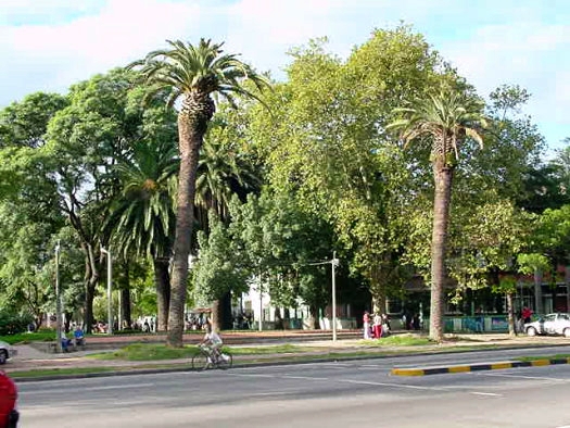 Blvr. Artigas esquina Garc�a Pe�a