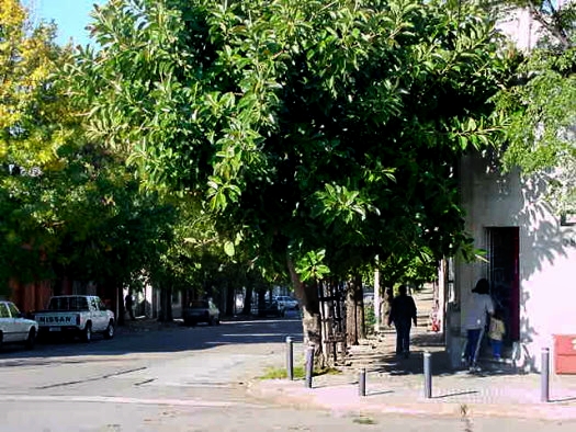 Hocquart esquina Acevedo D�az