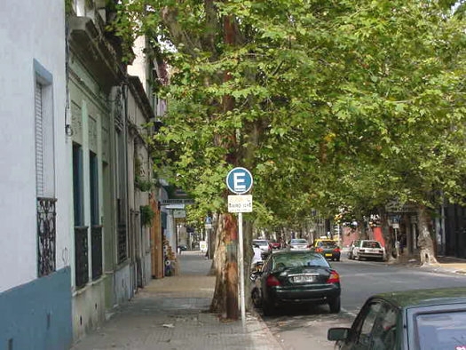 entre Convenci�n y R�o Branco