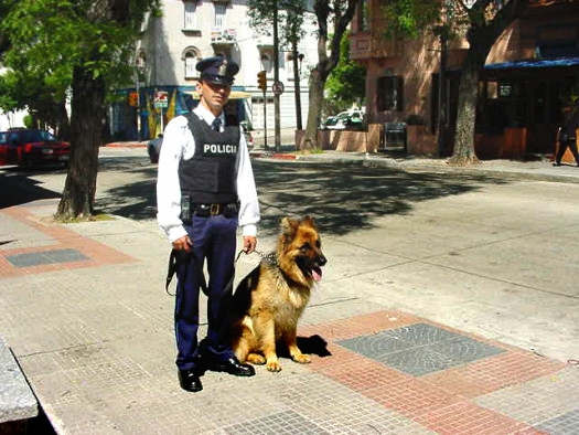 Polic�a de Turismo