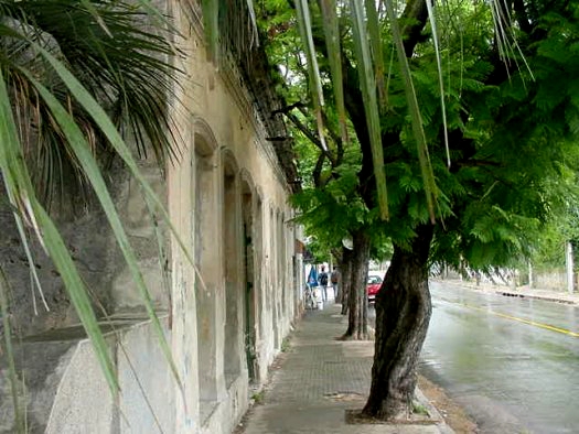 Av. Lucas Obes entre Olmedo y Agraciada