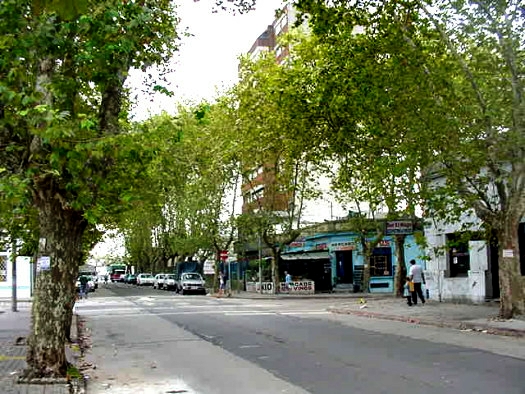 Comercio casi Cabrera
