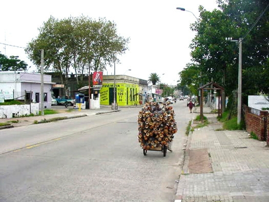 Cno. Carrasco casi Arcas