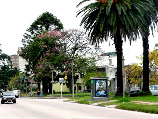 L.A. De Herrera casi Thompson