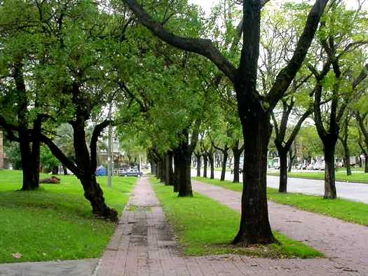 Damaso Larra�aga casi Espartillo