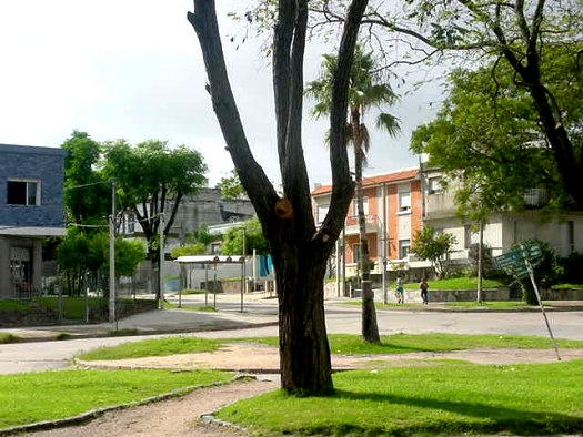 Damaso Larra�aga esquina Pernas y Claramunt