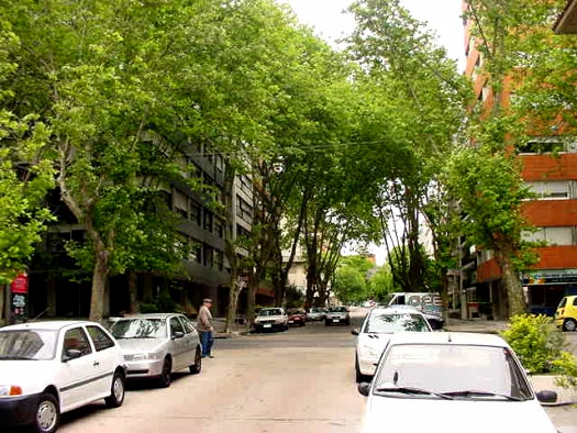 Scoseria y Benito Blanco