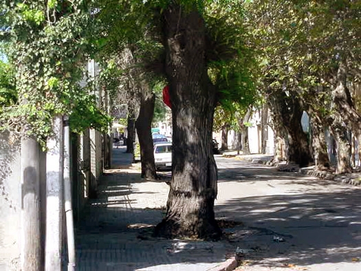 entre Avellaneda y Fray Bentos