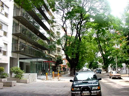 Casi Solano Antu�a