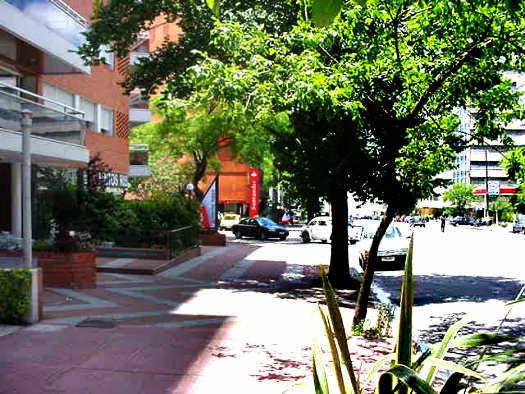 L. Gadea