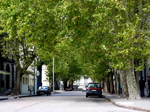 Tapes entre San Juan y Agraciada