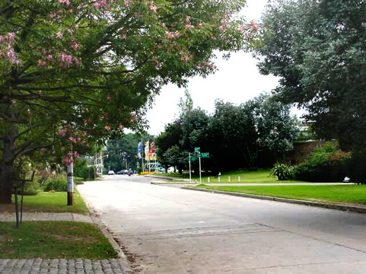 E. Blanco Acevedo (Santa M�nica) entre Roses y Av. Italia