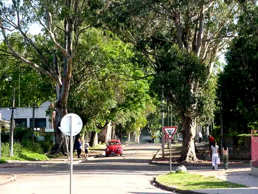 Calle Ra�z desde Amandau