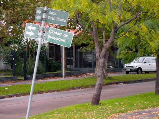 Rivera esquina Ciudad de Guayaquil (Yanguaneses)