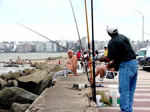 Un domingo en la rambla de Pocitos
