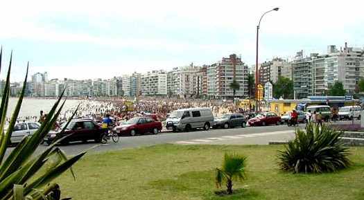 Playa Pocitos