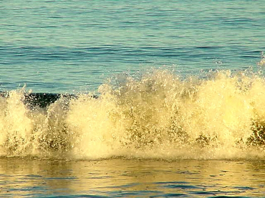 Playa sobre el R�o de la Plata