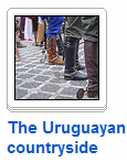 THE URUGUAYAN COUNTRYSIDE
